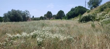 Terrain à vendre SERNHAC (30)