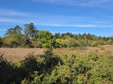 Le domaine dont vous reviez de près de 9 hectares