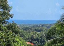 Propriété VUE MER avec dépendances et piscine PETIT BOURG (971)