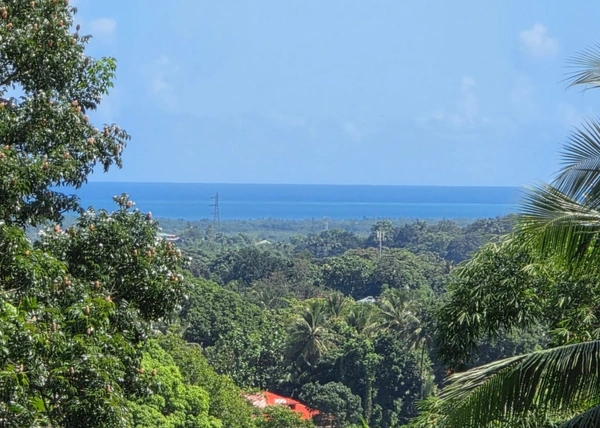 Propriété VUE MER avec dépendances et piscine PETIT BOURG (971)