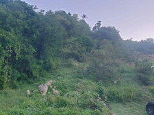 LE GOSIER building land 2000 m² 