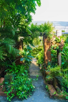 SAINT-MARTIN - ENTREPRISE DE PARCS ET JARDINS