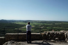 Propriete viticole bio AOP Faugères à vendre  ROQUESSELS (34) 9,8ha de vignes 28ha de landes caves 572m²