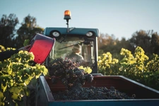 Propriete viticole bio AOP Faugères à vendre  ROQUESSELS (34) 9,8ha de vignes 28ha de landes caves 572m²