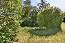 Maison 167 m² à vendre 7 pièces, terrain 2000 m² + garage