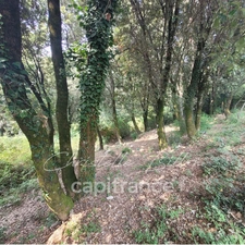 Dpt Corse (20), à vendre LEVIE terrain 