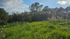 Terrain à vendre  LECCI (20)
