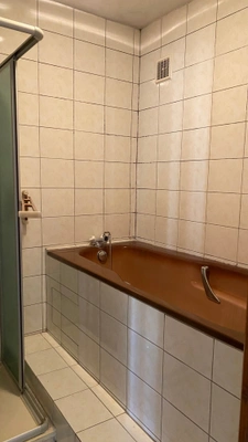Maison 106m² rénovation à terminer MALIGNY (89)