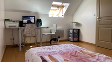 House for sale - Single storey - 3 bedrooms - Garden - Garage - COUTARNOUX (89)