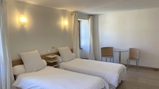 For sale: a bed and breakfast, bar, and restaurant complex in L'ISLE SUR SEREIN (89)