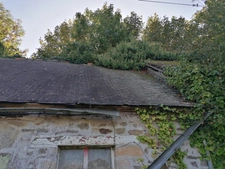 Propriete à vendre 1 pièces CEAUCE (61)