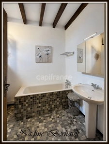 Maison à vendre 6 pièces  (45)Ferrières, Gare 10 mn Paris, 4 chambres, cave, cheminée, 6000 m² terrain arboré