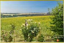Entre Lectoure et Astaffort- Maison en pierre 5 pièces-127m2-  terrain 1526m2