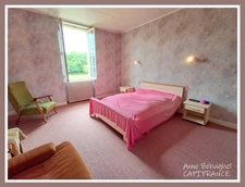 Stone house for sale 6 rooms - Land 4700m2