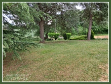 Stone house for sale 6 rooms - Land 4700m2