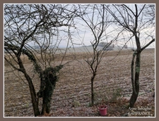 Pergain-Taillac - Stone house with 5 rooms - 127m2 - land 1526m2
