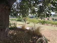 House for sale P5 -160m2 PERGAIN TAILLAC (32) Land 4044m2 - Outbuildings