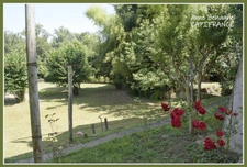 Townhouse for sale 6 rooms-106m2 CONDOM (32) with basement and garden