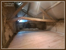 LAMONTJOIE- Centre village - Maison en pierre 140 m2 avec garage,dépendances et grand jardin
