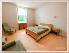 Stone house for sale 6 rooms - Land 4700m2