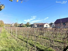 Terrain à vendre  OBERMORSCHWIHR (68)