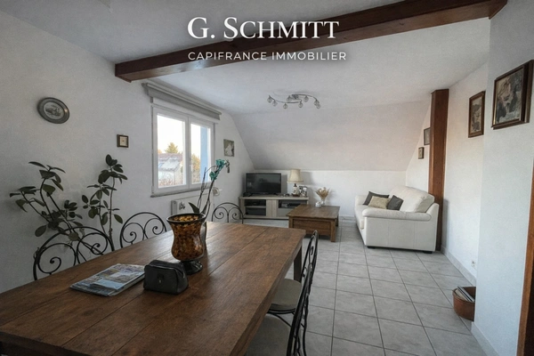 Propriete à vendre 12 pièces COLMAR (68)