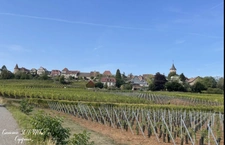 Dpt Haut-Rhin (68), à vendre ZELLENBERG immeuble 197 m²