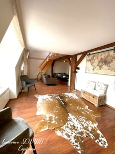 Dpt Haut-Rhin (68), à vendre ZELLENBERG immeuble 197 m²