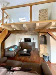 Dpt Haut-Rhin (68), à vendre ZELLENBERG immeuble 197 m²