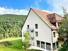 Dpt Haut-Rhin (68), à vendre AMMERSCHWIHR appartement T2   