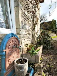 Maison à vendre 5 pièces SALIGNEY (39)