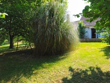Maison à vendre 5 pièces EVANS (39)