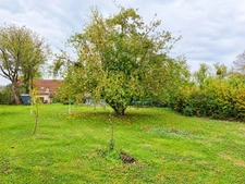 Maison à vendre 7 pièces RANS (39)