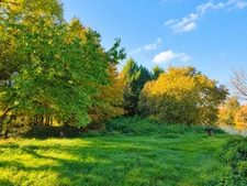 Terrain à vendre de 2 281,00 m² RANS (39)