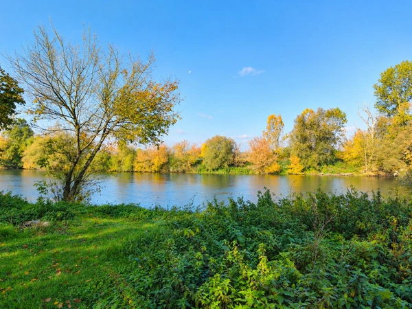 Terrain à vendre de 2 281,00 m² RANS (39)