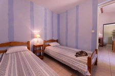 Labenne (40) - À VENDRE – Maison familiale avec parc de près d'un hectare, piscine et logement indépendant
