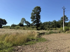 Proche Orthez (64) - À VENDRE - Terrain constructible de 1,4ha idéal promoteur ou lotisseur.
