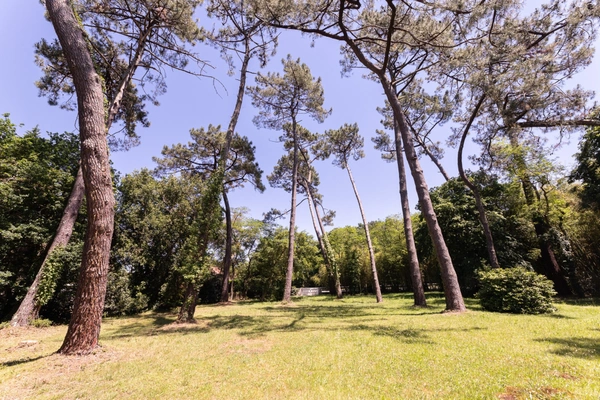 Labenne (40) - À VENDRE – Maison de plain-pied avec dépendances, piscine et terrain de 9 700 m² 