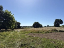Proche Orthez (64) - À VENDRE - Terrain constructible de 1,4ha idéal promoteur ou lotisseur.