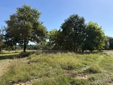 Proche Orthez (64) - À VENDRE - Terrain constructible de 1,4ha idéal promoteur ou lotisseur.