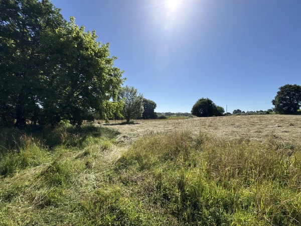 Proche Orthez (64) - À VENDRE - Terrain constructible de 1,4ha idéal promoteur ou lotisseur.