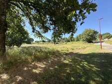 Proche Orthez (64) - À VENDRE - Terrain constructible de 1,4ha idéal promoteur ou lotisseur.