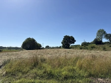 Proche Orthez (64) - À VENDRE - Terrain constructible de 1,4ha idéal promoteur ou lotisseur.