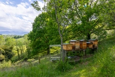 Pau (64) - À vendre Propriété de 450m2 - Forêt et prairie de 20 ha avec vue exceptionnelle sur les Pyrénées au calme.
