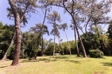 Labenne (40) - À VENDRE – Maison familiale avec parc de près d'un hectare, piscine et logement indépendant