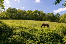 Pau (64) - À vendre Propriété de 450m2 - Forêt et prairie de 20 ha avec vue exceptionnelle sur les Pyrénées au calme.