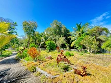 EN EXCLUSIVITE - PROPRIETE & SON JARDIN TROPICAL - SAINTE ANNE