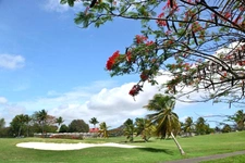 EN EXCLUSIVITE - UNIQUE TERRAIN A VENDRE VUE MARINA ET GOLF - SAINT FRANCOIS (971)