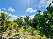 EN EXCLUSIVITE - PROPRIETE & SON JARDIN TROPICAL - SAINTE ANNE