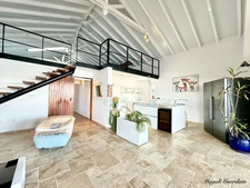 FOR SALE: MAGNIFICENT RECENT VILLA (2019) WITH POOL & OUTBUILDING - SAINT FRANCOIS